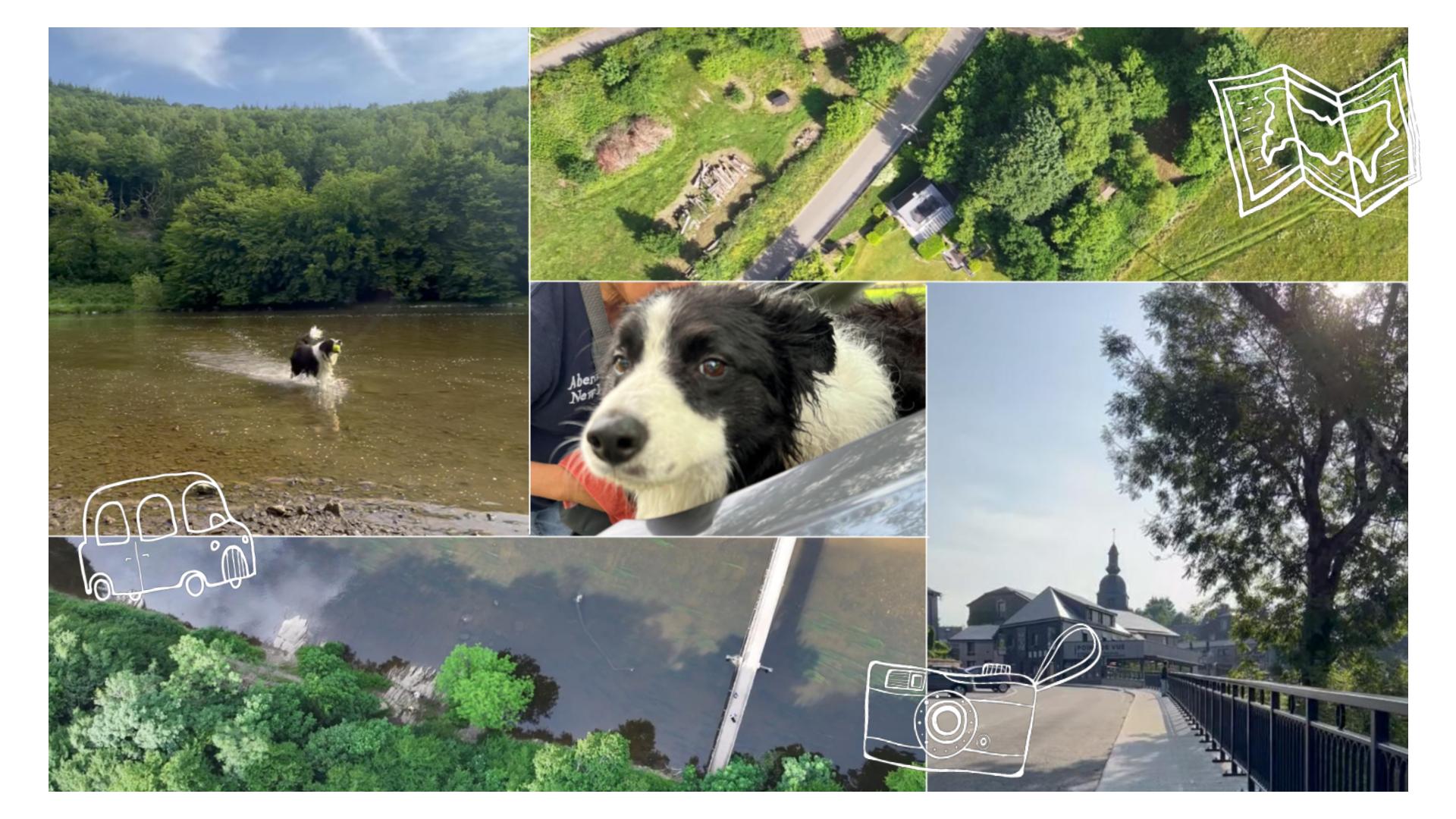 アクティビティ