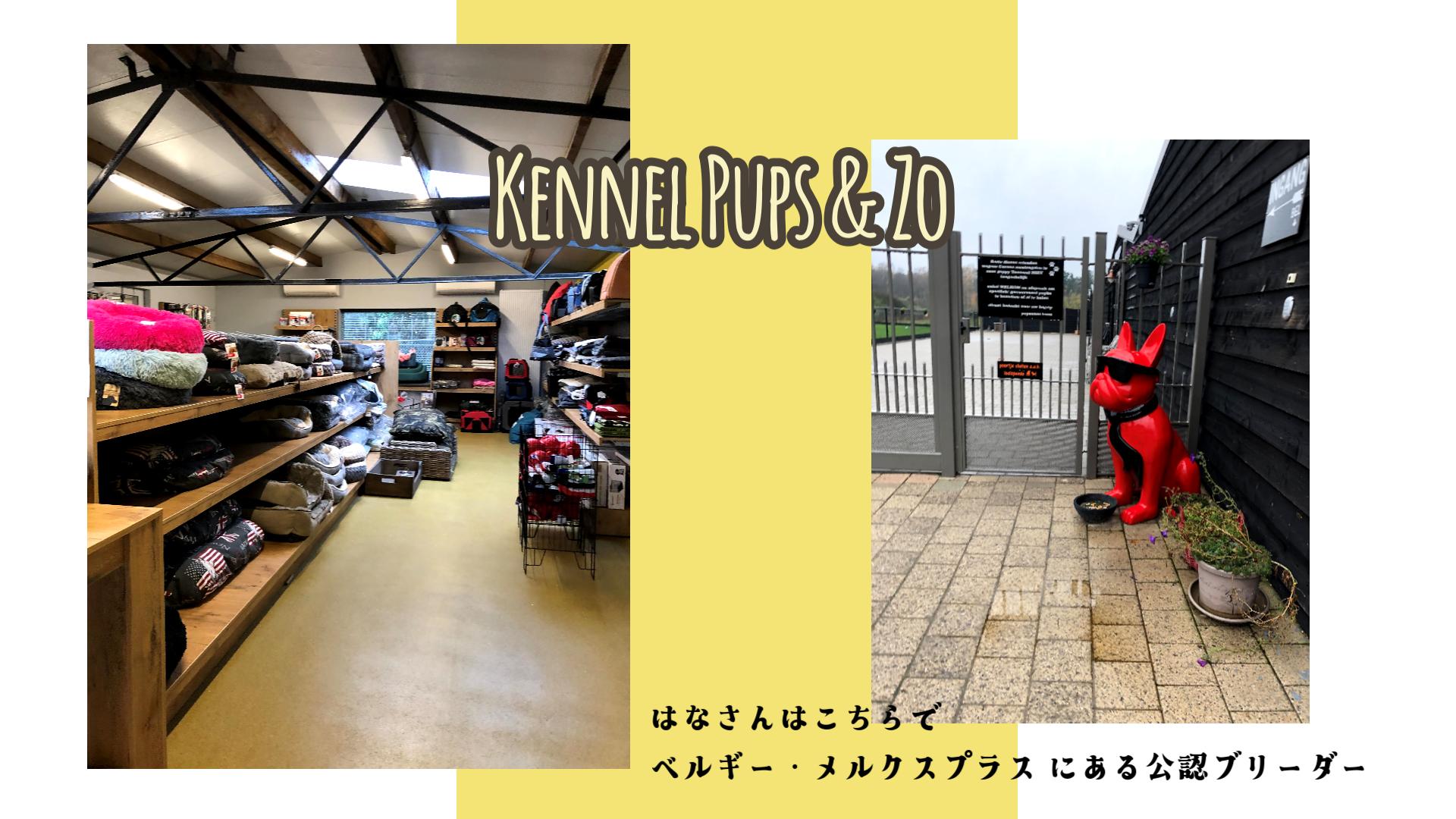 ベルギーで子犬を迎えた時