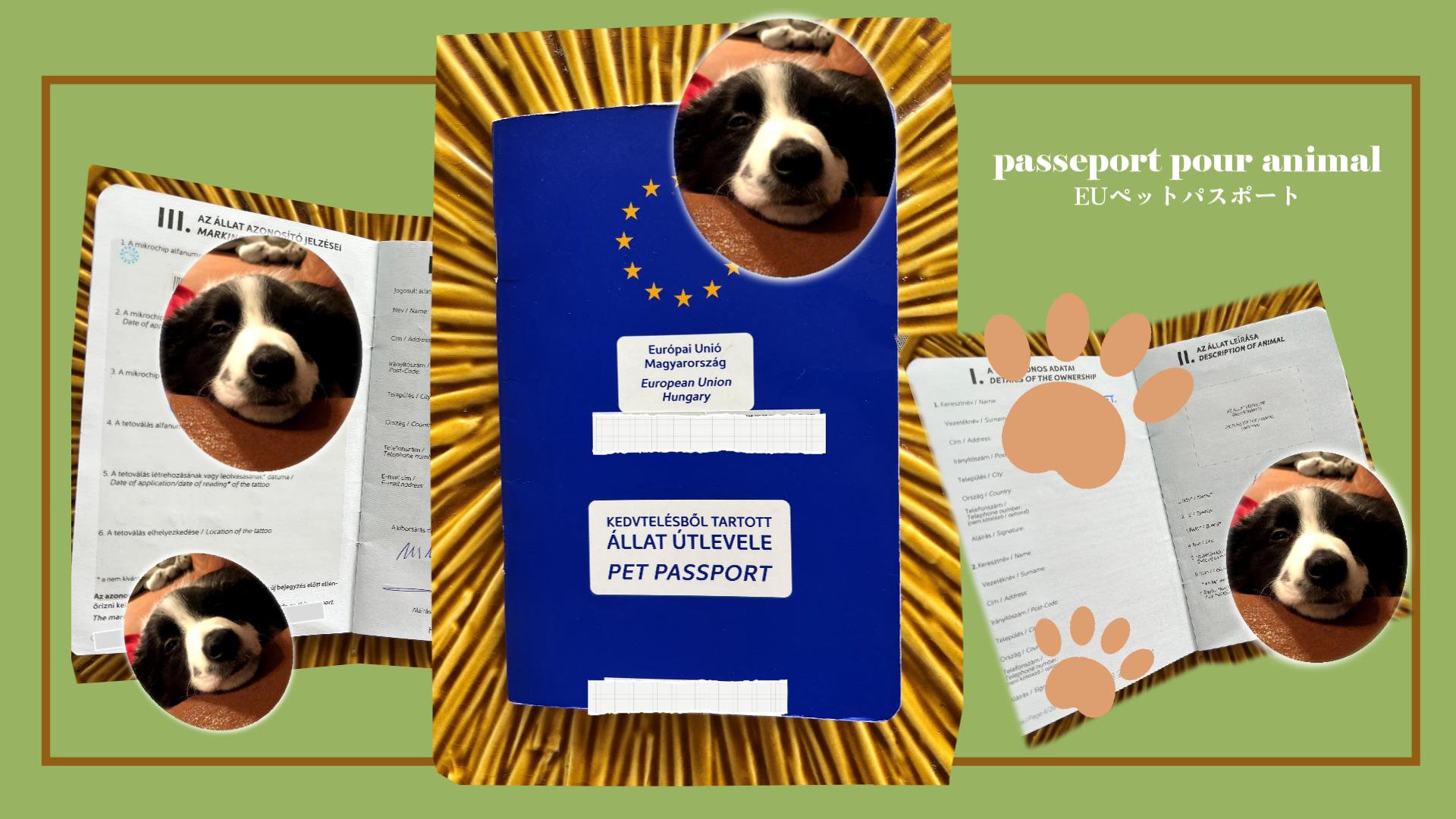 EUペットパスポート