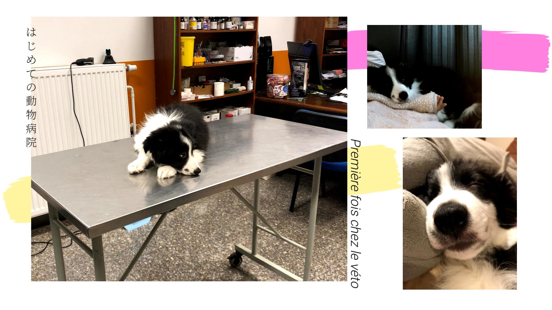 ウイルスの可能性と、思いがけない“年齢”の話