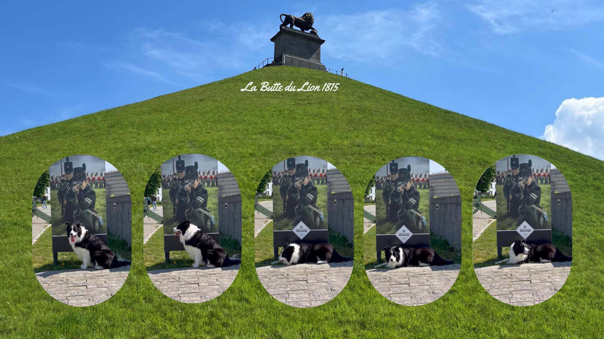 おすすめの場所たち