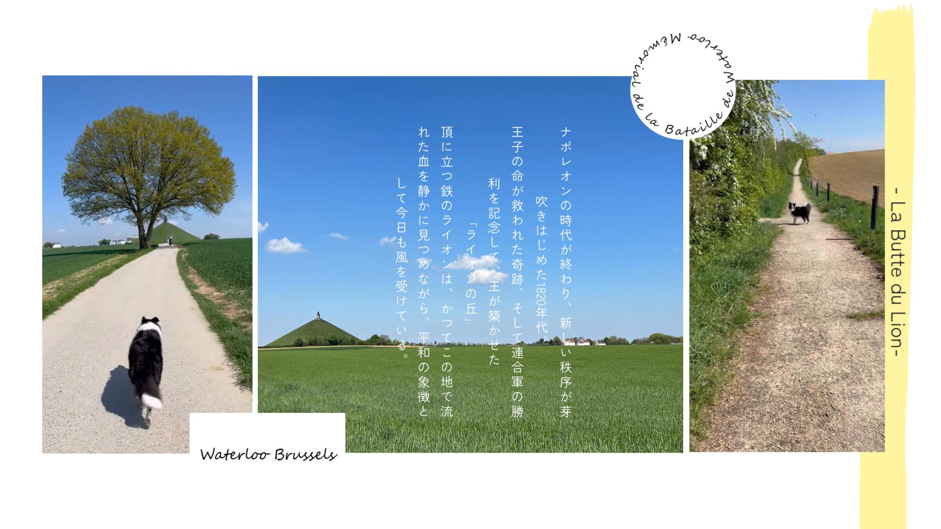 Waterlooイベント