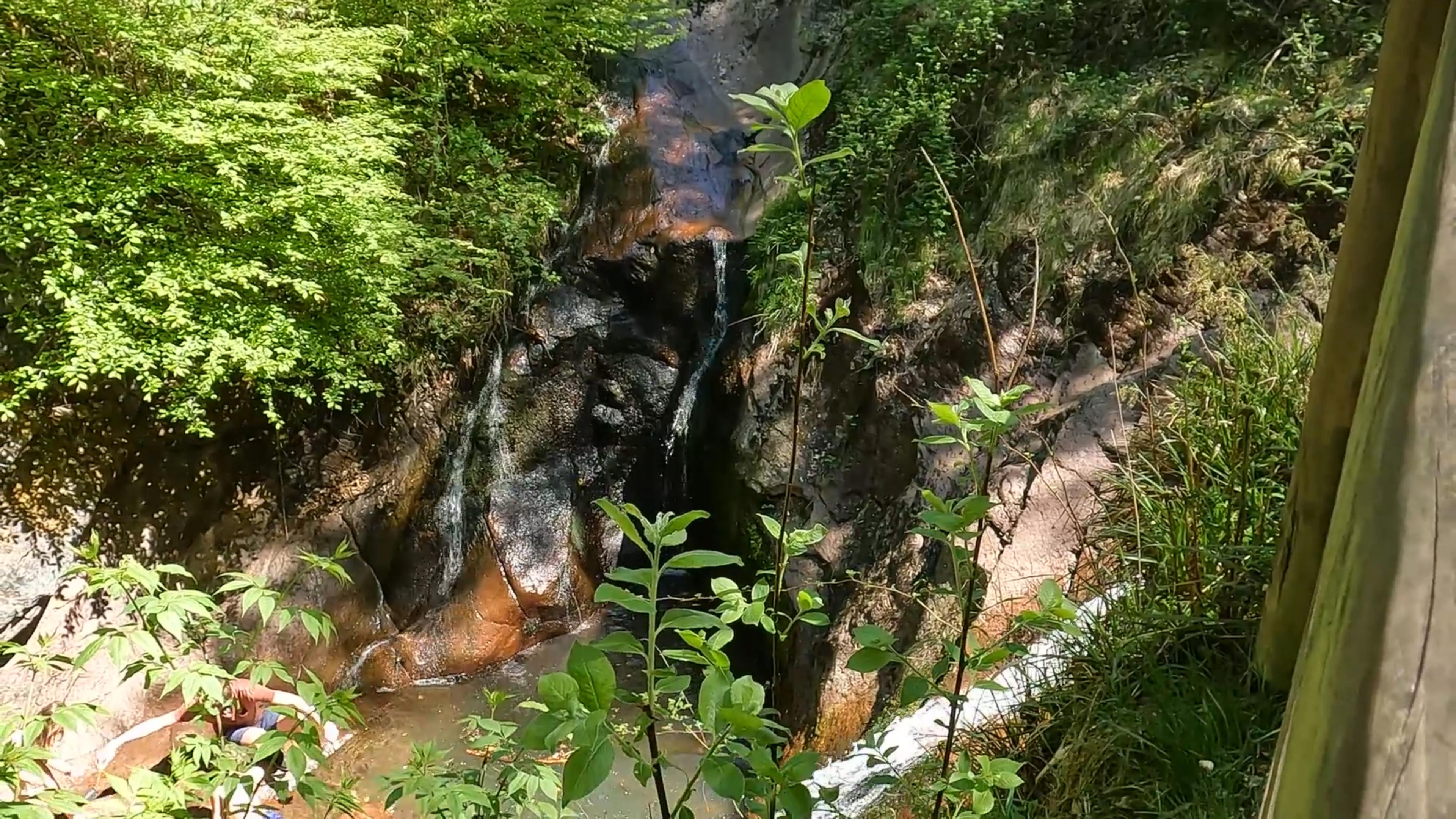 森と水が織りなす、五感のアート