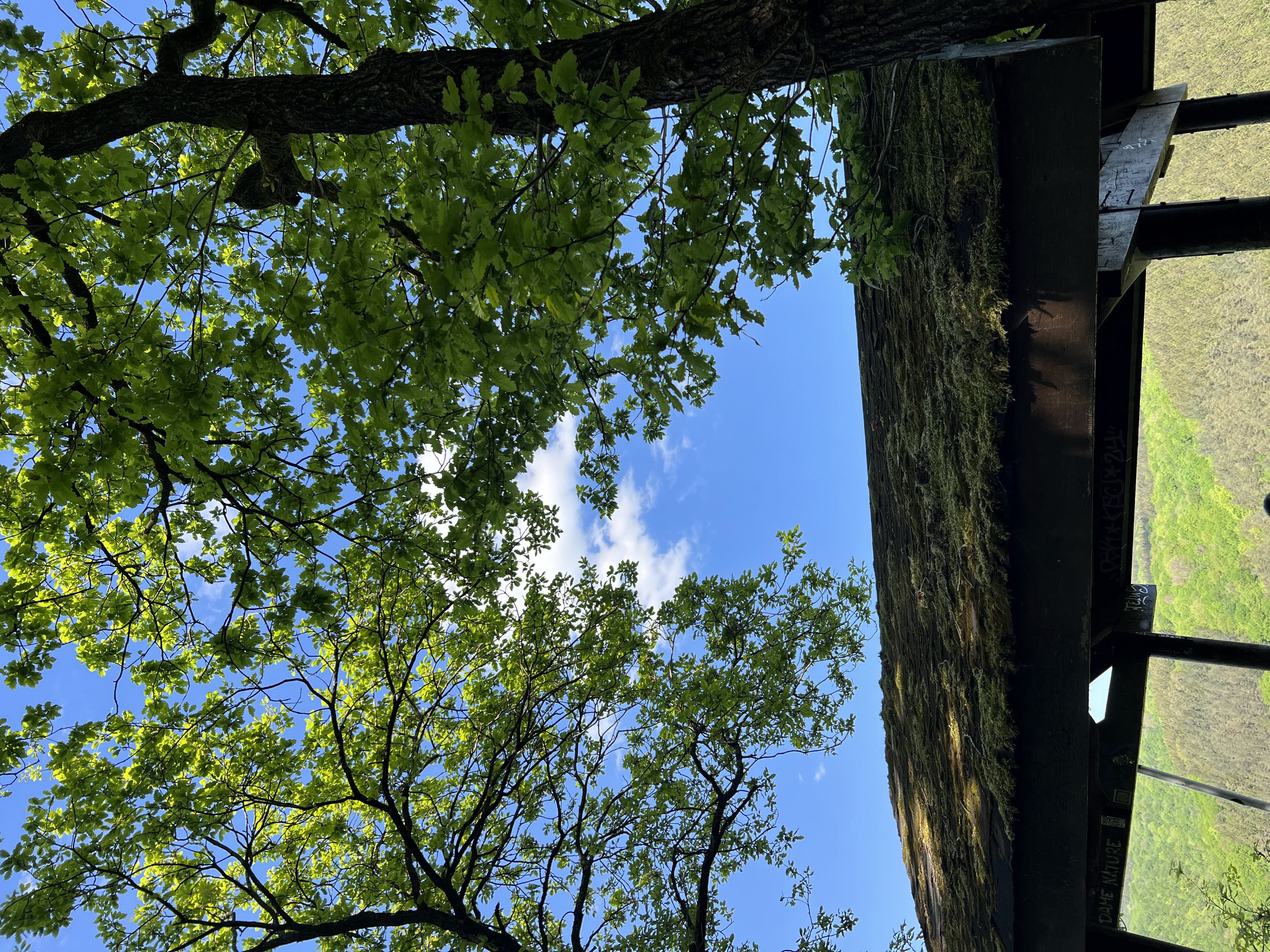 ドゥルエ展望台