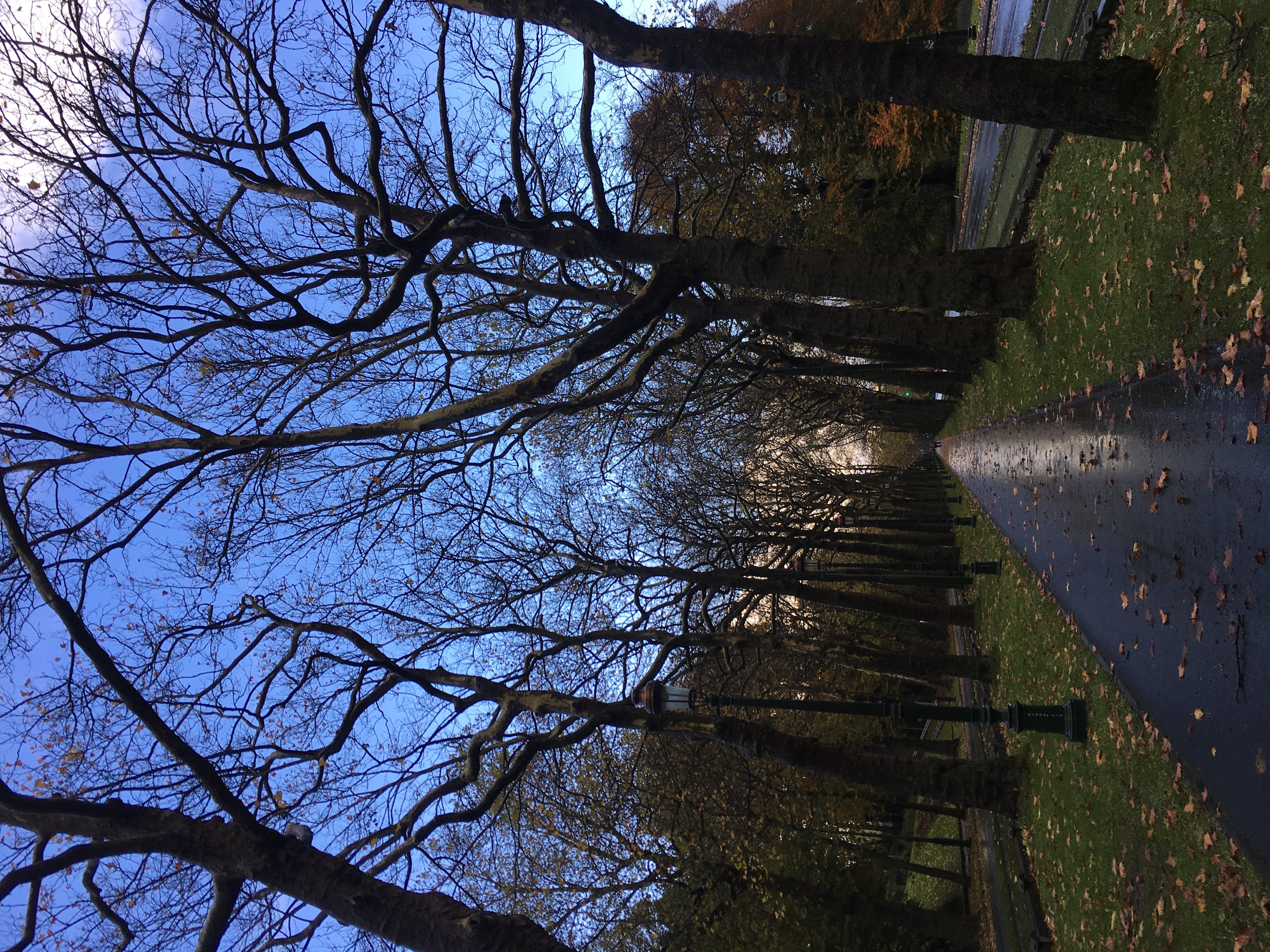 都市の中の、もうひとつの風景