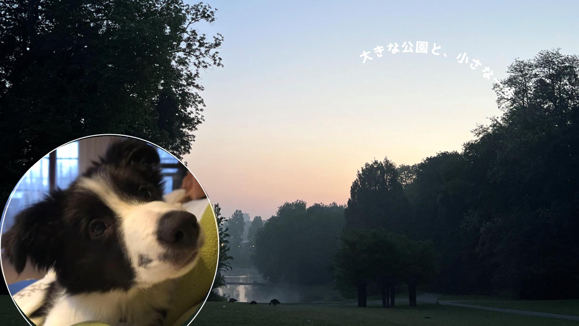 散歩デビュー。最初の一歩は、