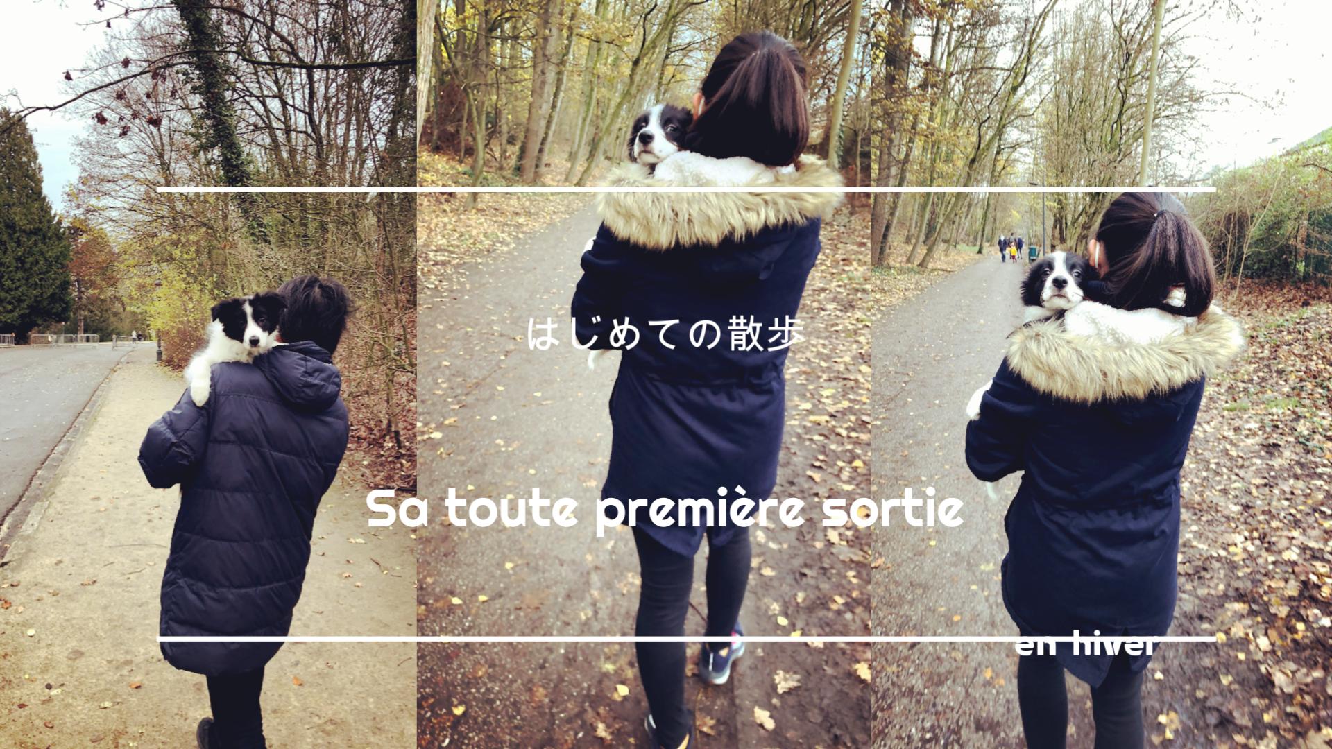 ワクチンが終わったら、いよいよお散歩。