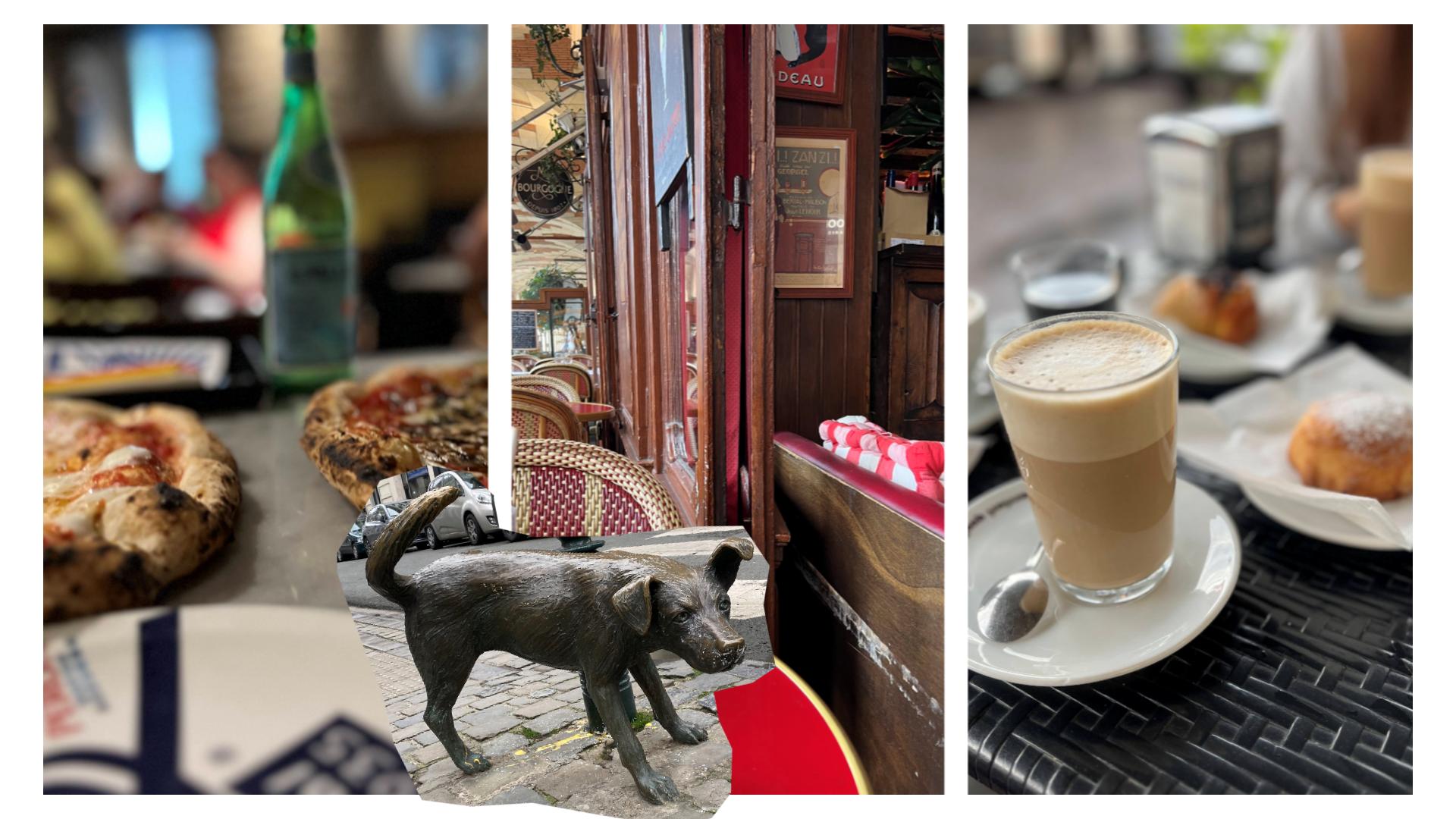 犬と一緒に街へ。カフェ・電車同伴ルールガイド