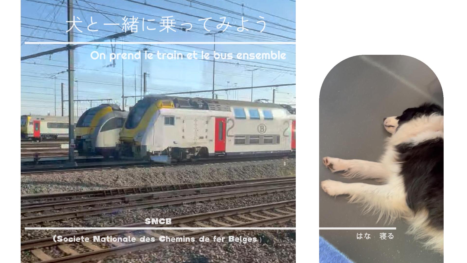 電車やトラムではどうする？チケットは？キャリーは？