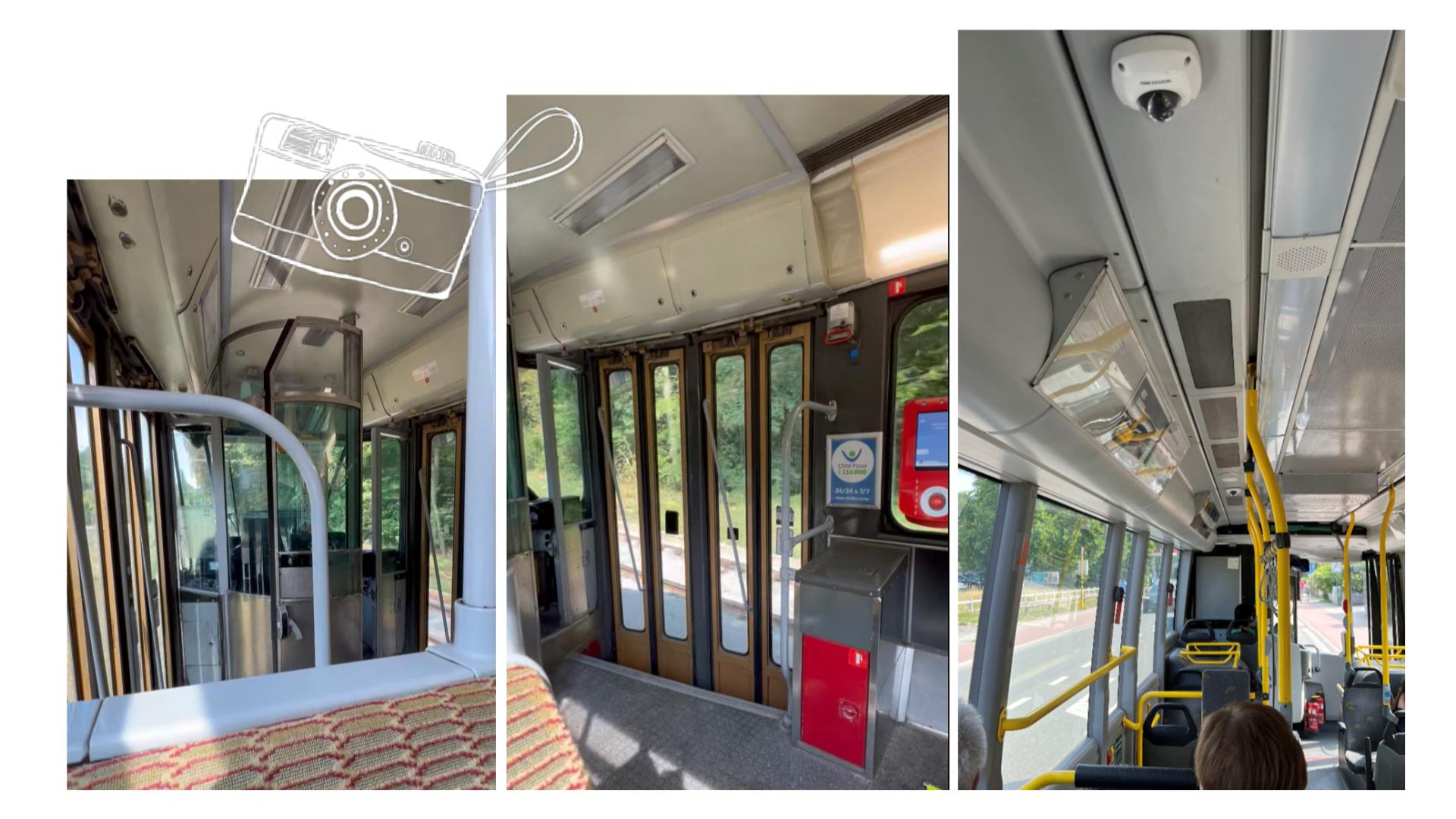 「社会の一員」としての犬。文化の違いに気づく旅の始まり