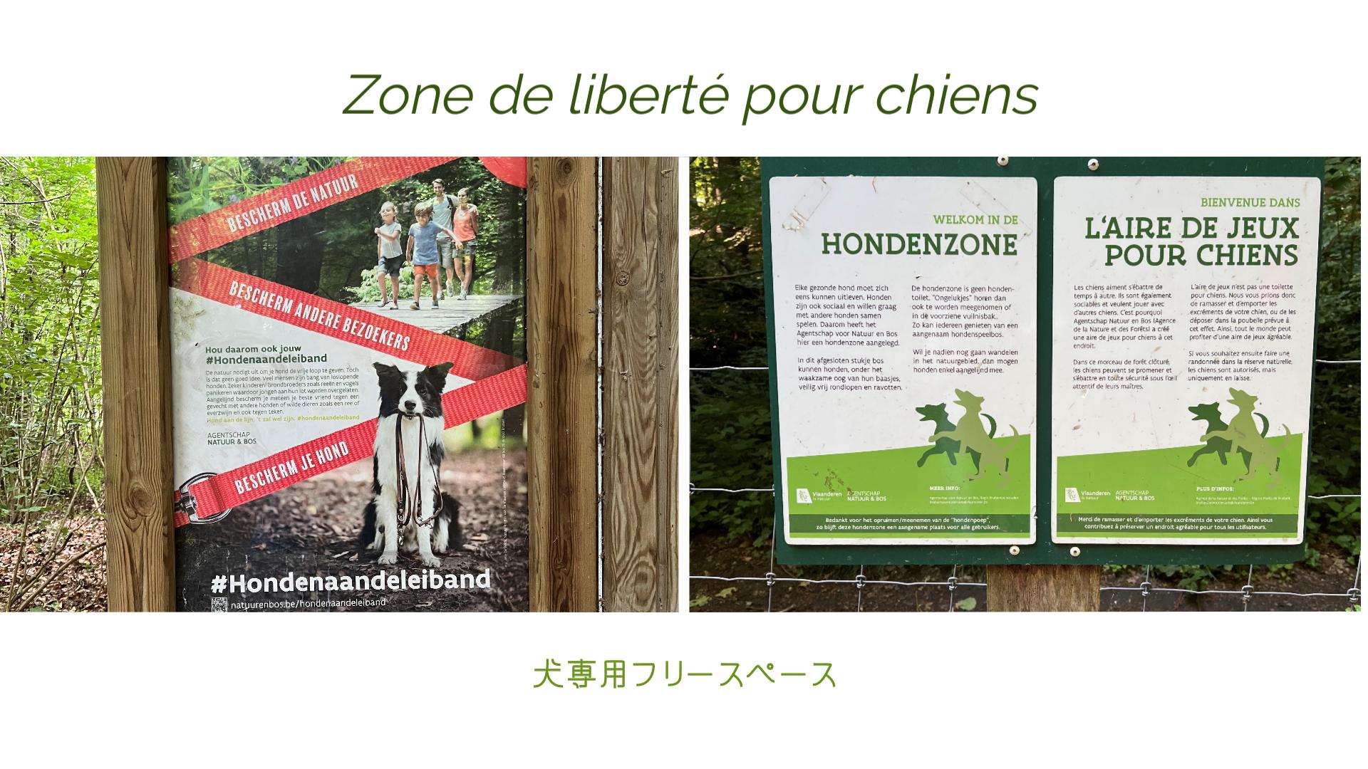 リードを外してもいい場所ってあるの？