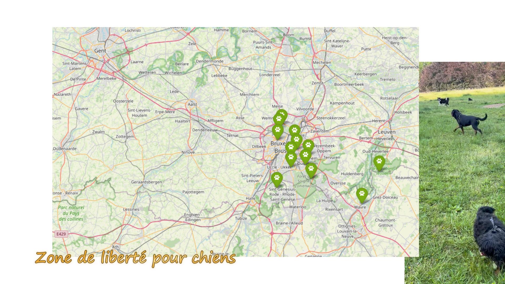 地元で人気のノーリードOK公園リスト