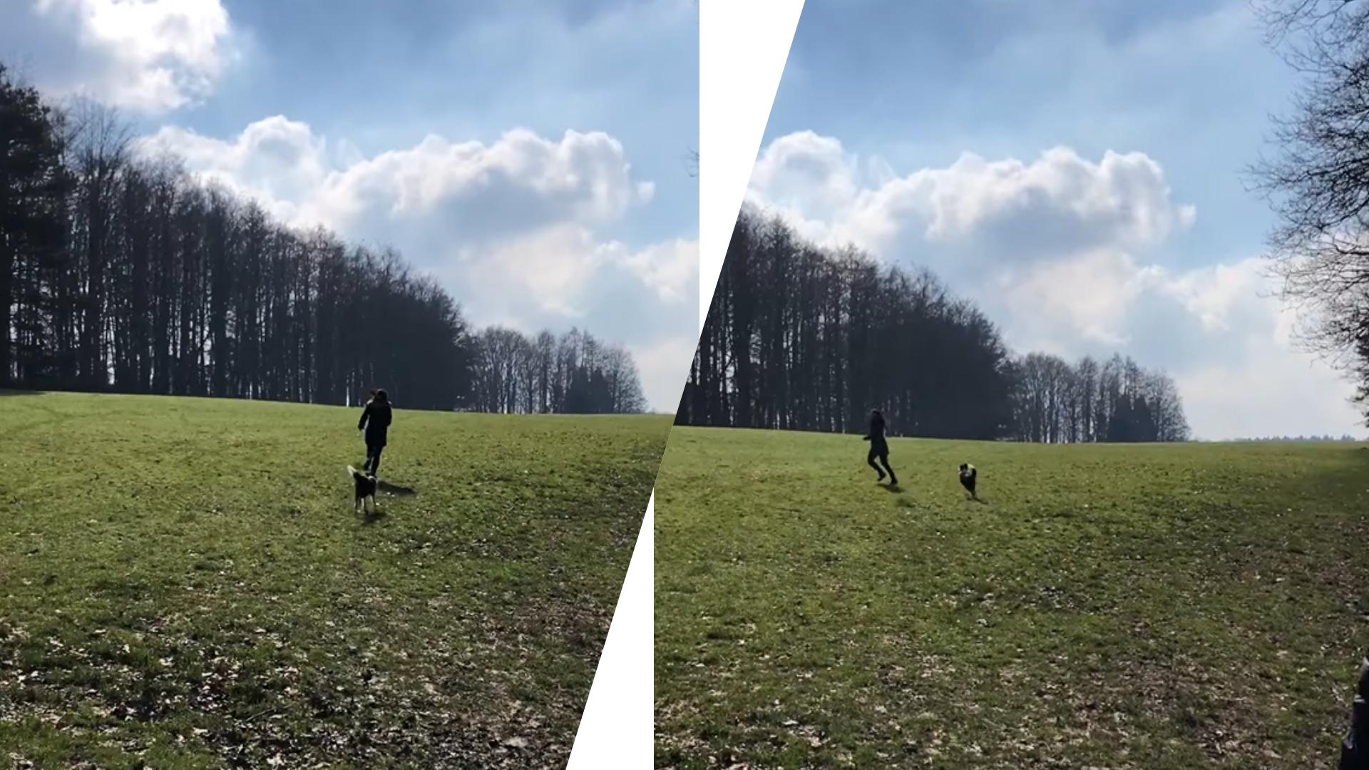 ベルギーのしつけとマナー文化