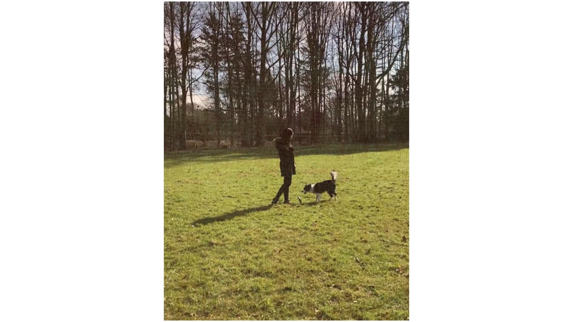 走る・遊ぶ・じゃれる。その自由の風景の中にある幸せ