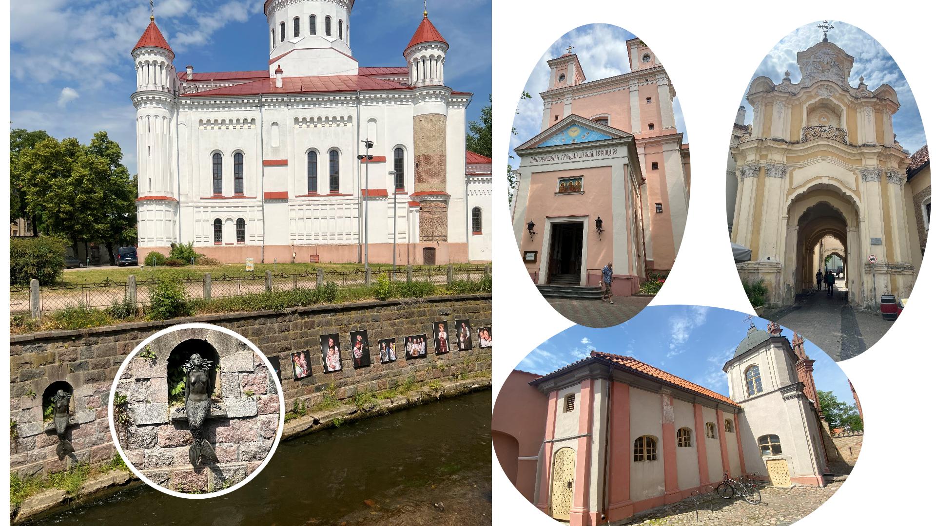 人魚に導かれて