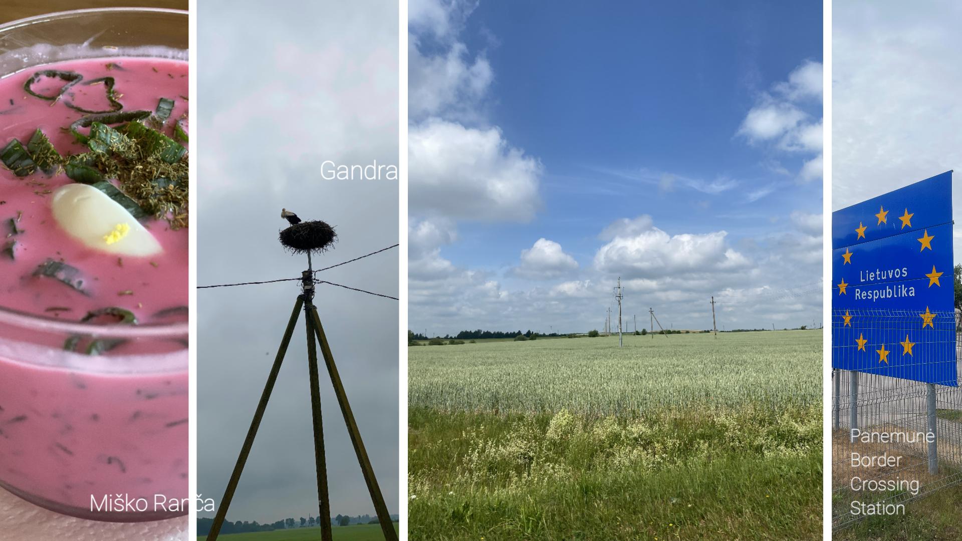 本日のルートはこちら