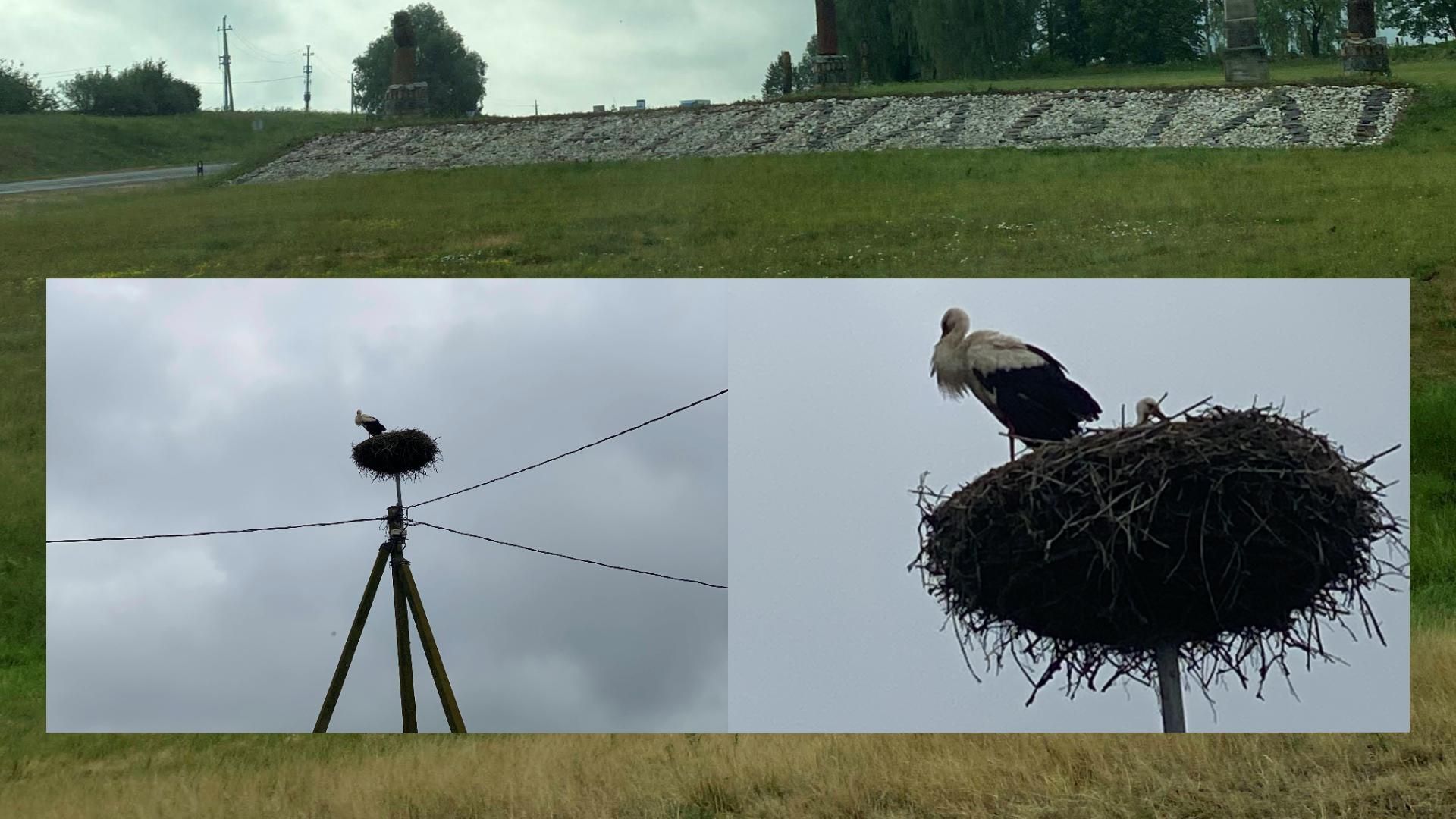 Gudžiūnai編　幸せを運ぶコウノトリ