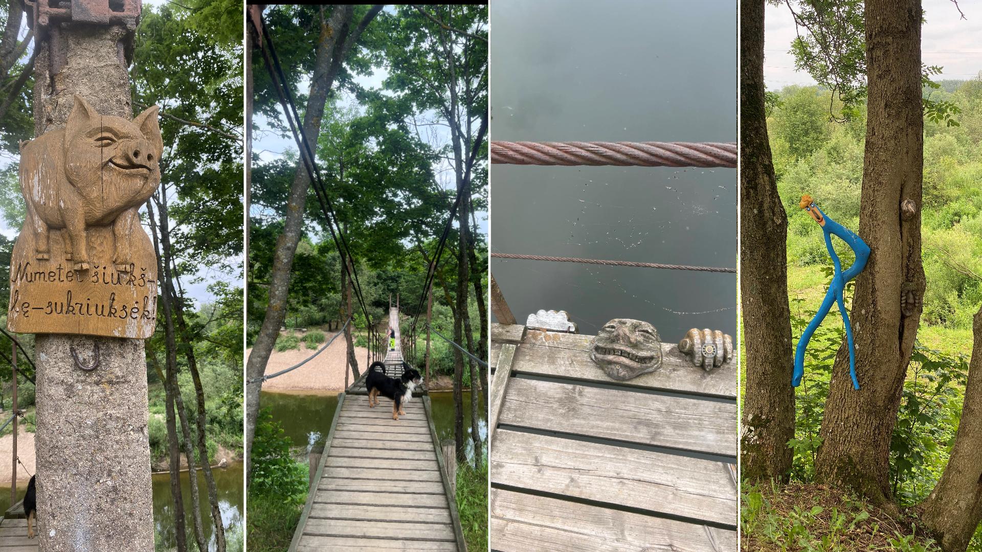 Dituva編　風に揺れる木の吊り橋（寄り道のひととき）