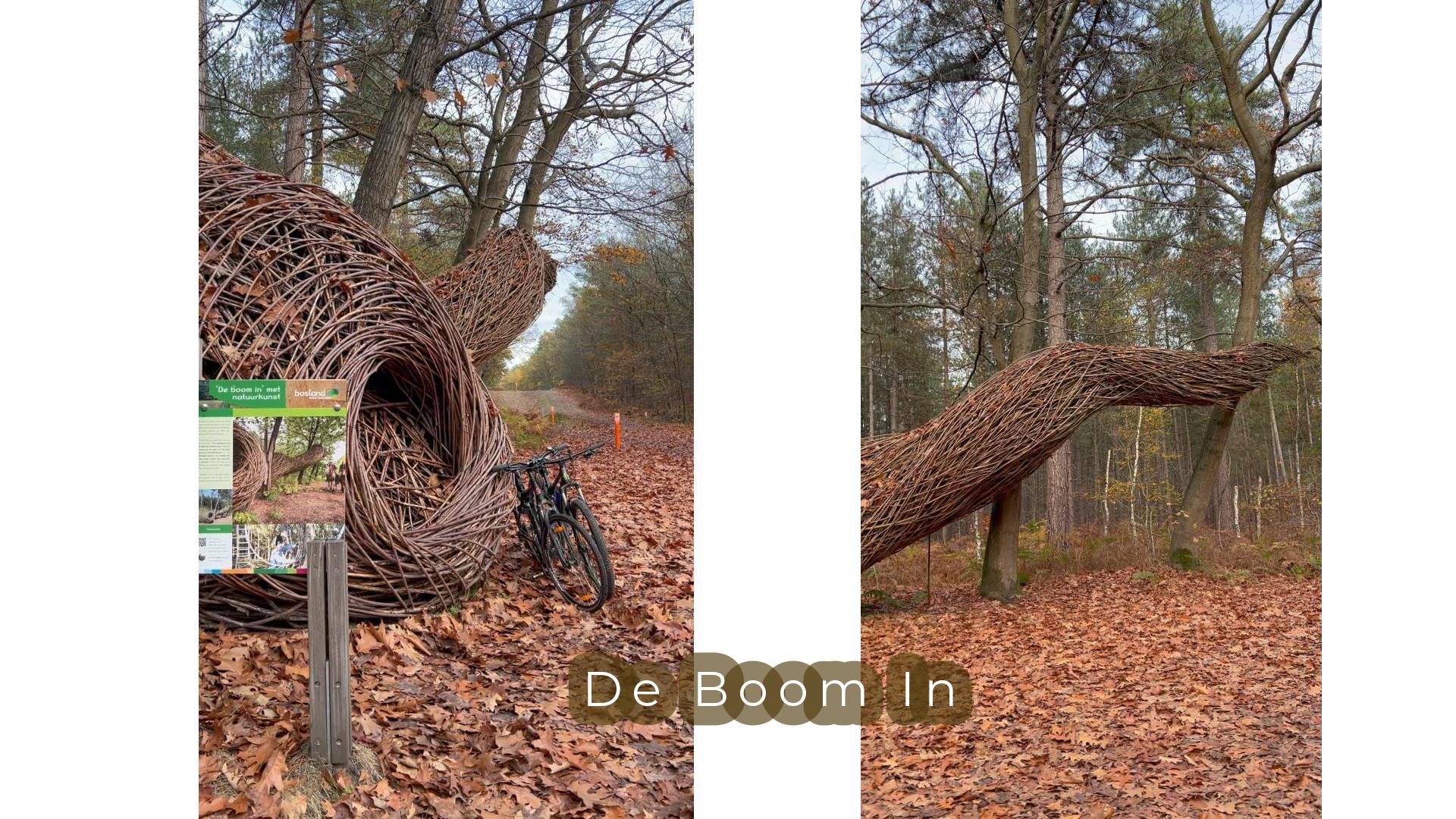 ランドアート De Boom In