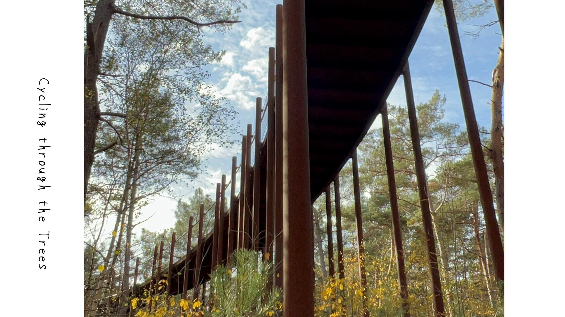 このリングについて