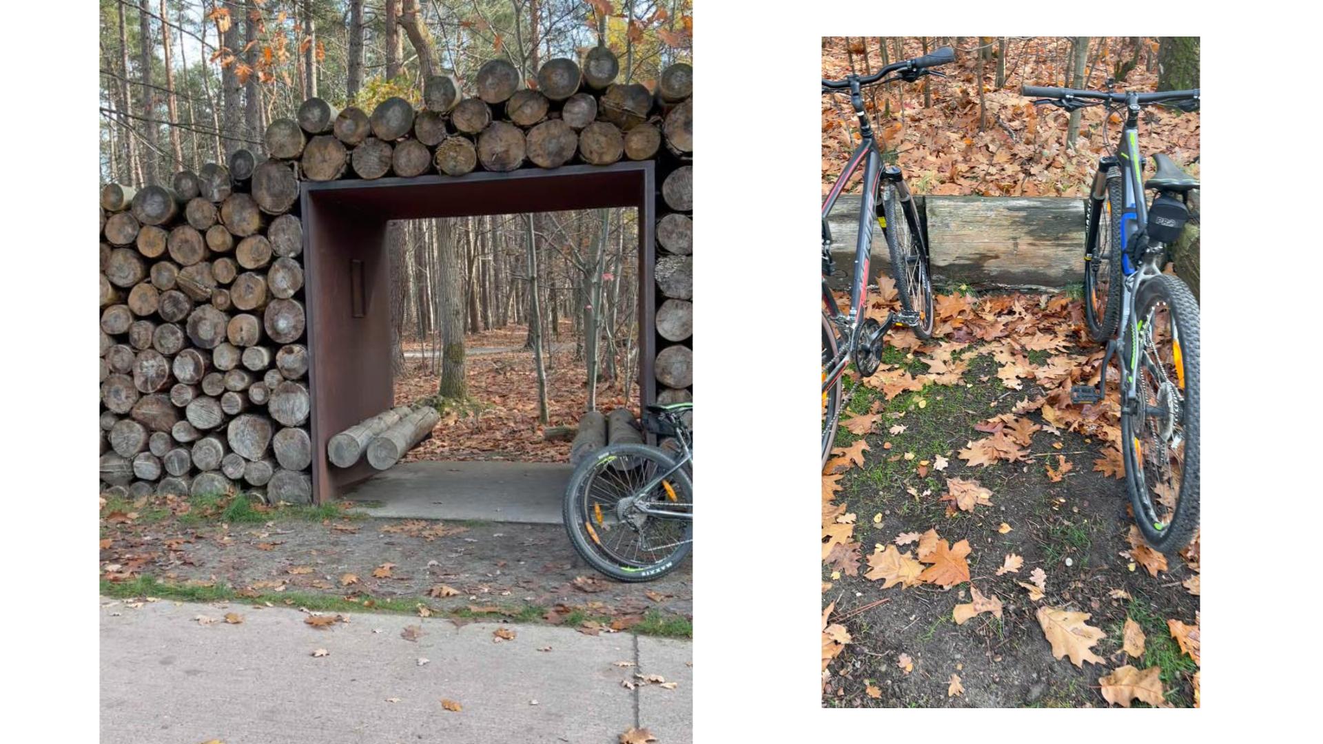 人気の丸太休憩スポット