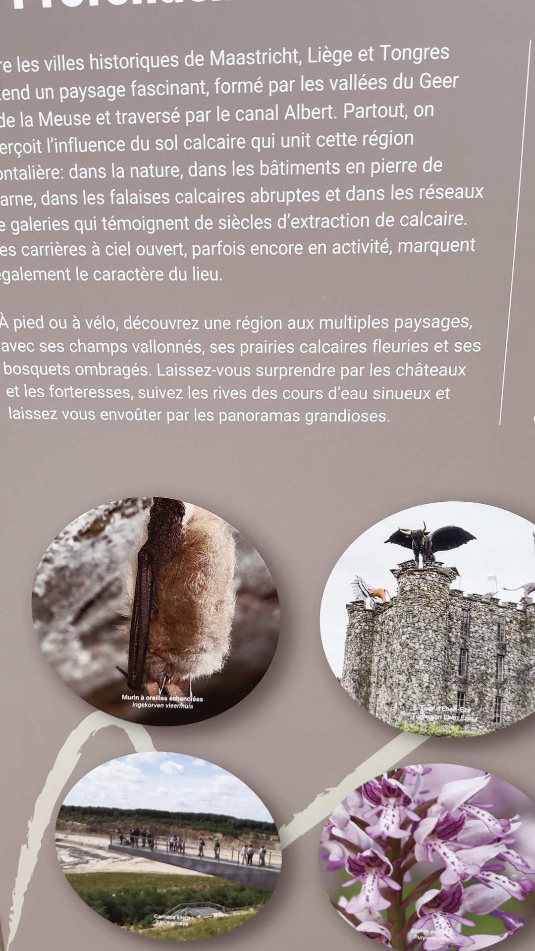 実は“橋だけ”じゃない｜このエリアの本当の面白さ