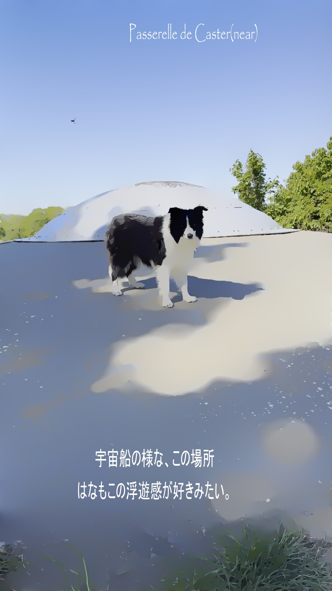 周辺おすすめスポット