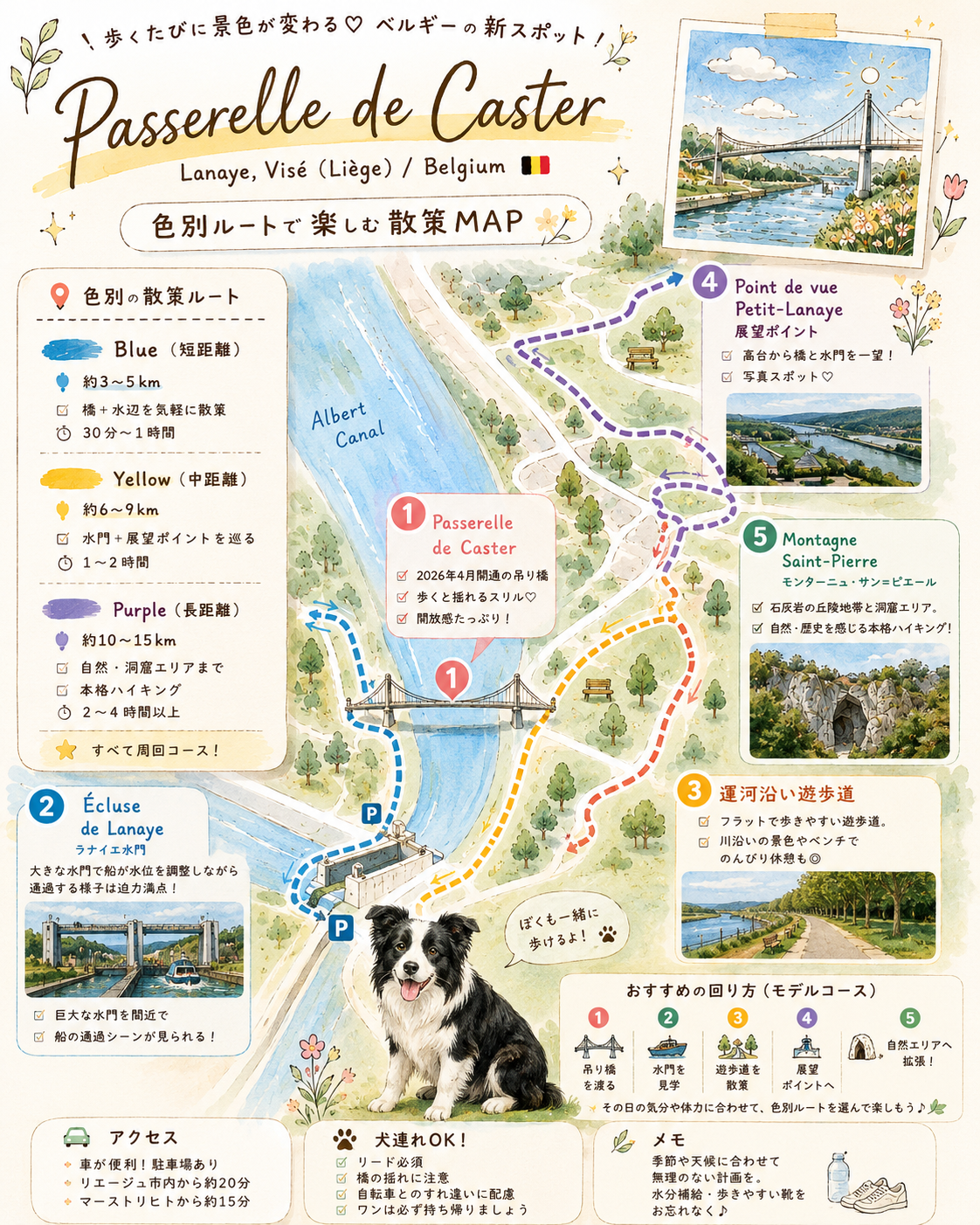 公式・関連サイト